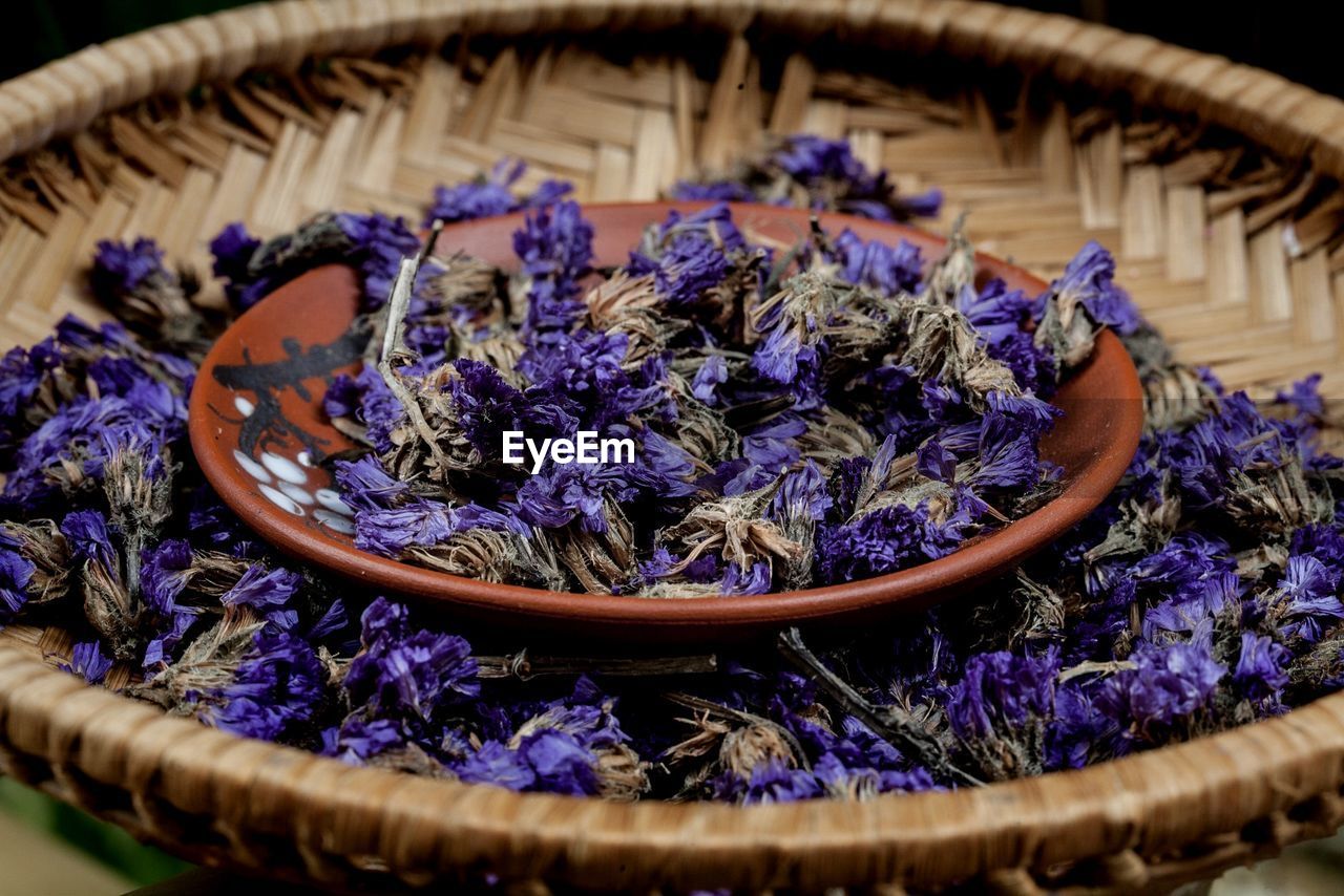 Close-up of purple flowering plants in basket