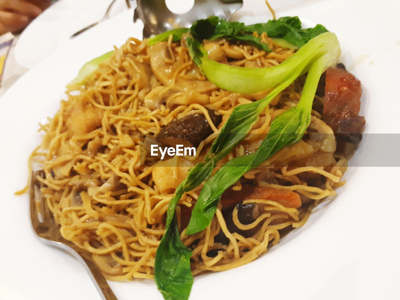 CLOSE-UP OF NOODLES IN PLATE