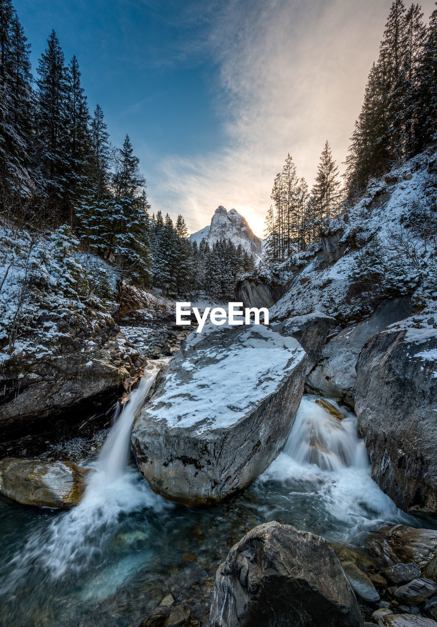 SCENIC VIEW OF SNOW COVERED TREES AGAINST SKY