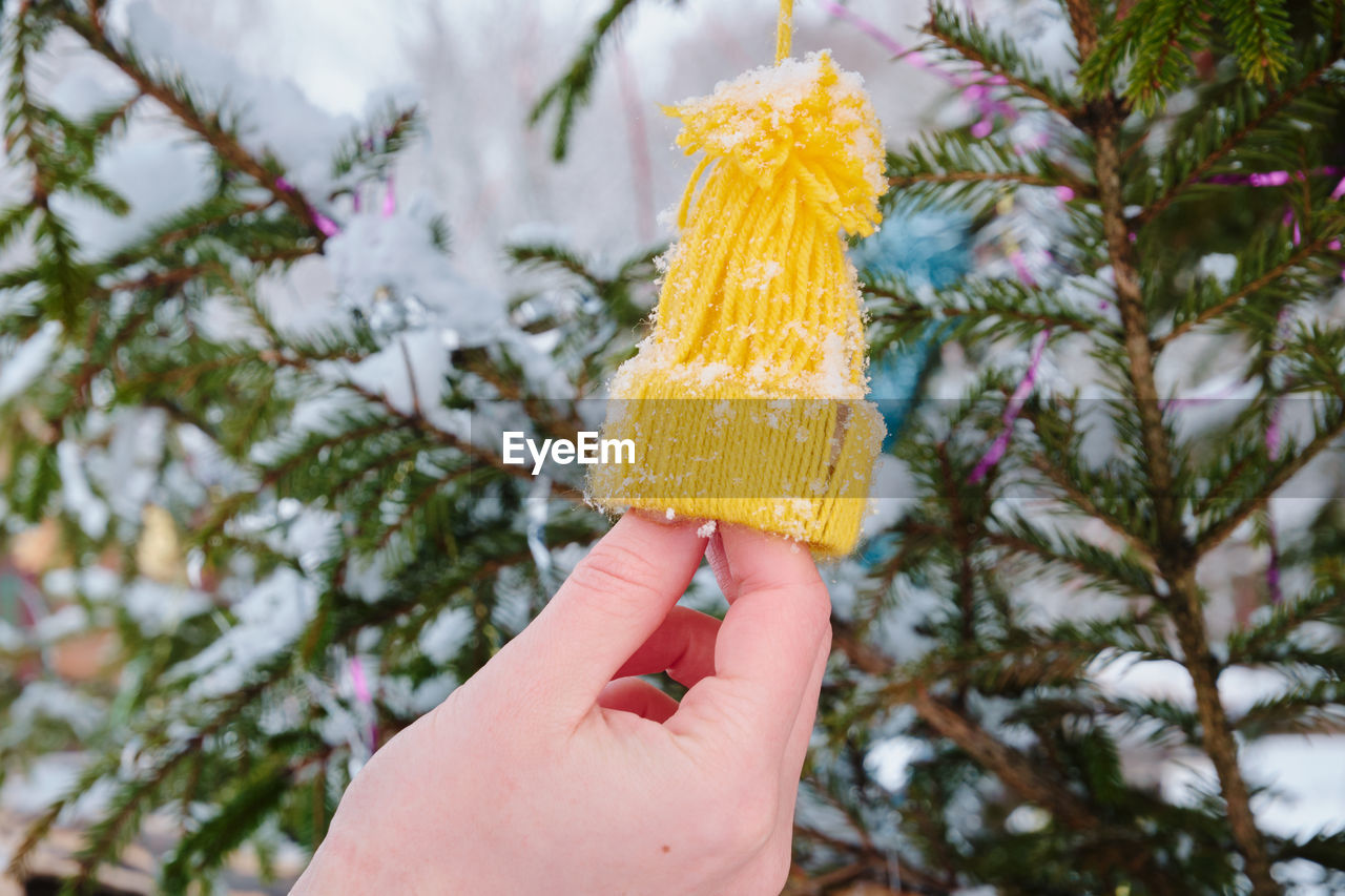 hand, holding, tree, one person, plant, yellow, flower, nature, leaf, food and drink, celebration, focus on foreground, food, cold temperature, winter, christmas tree, personal perspective, day, christmas, close-up, outdoors, snow, frozen, holiday, finger, freshness, spring, women, lifestyles, adult, coniferous tree, sweet food, branch, leisure activity, pinaceae