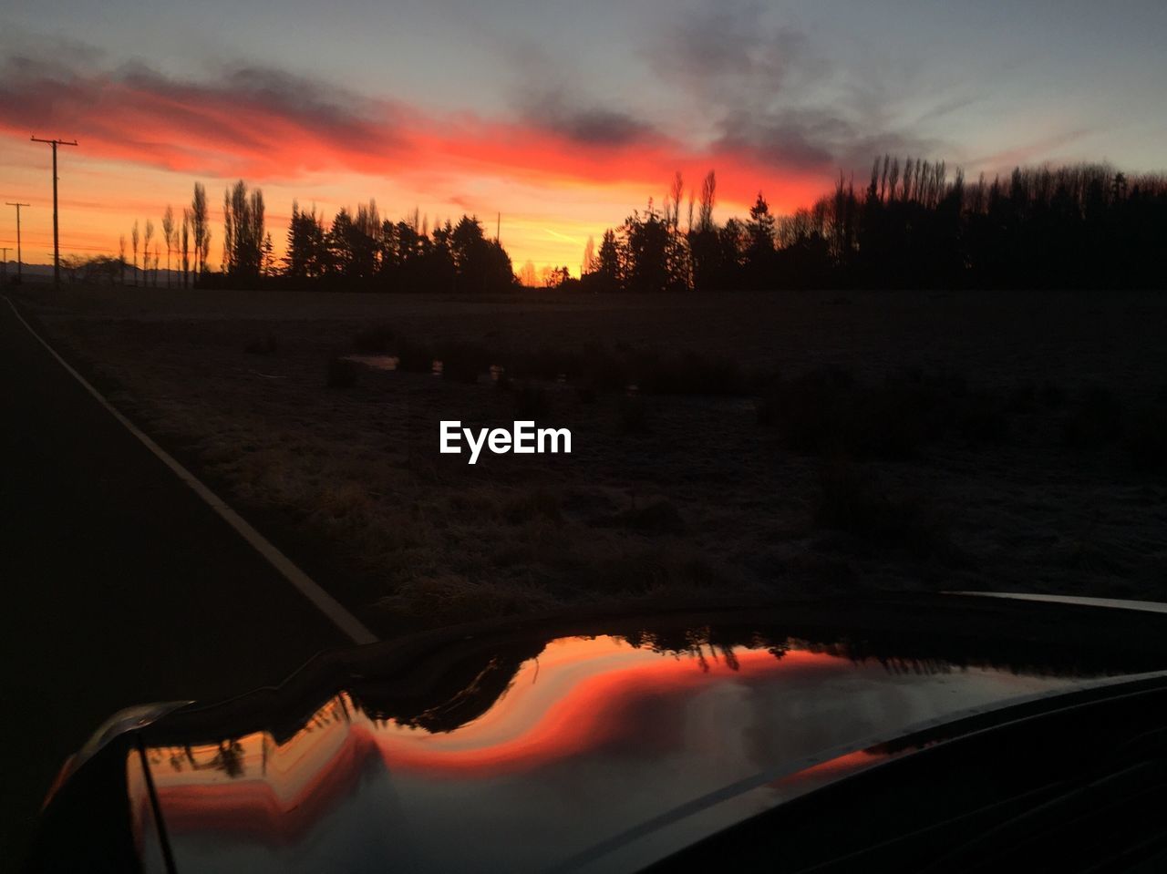 SCENIC VIEW OF ORANGE SKY OVER TREES