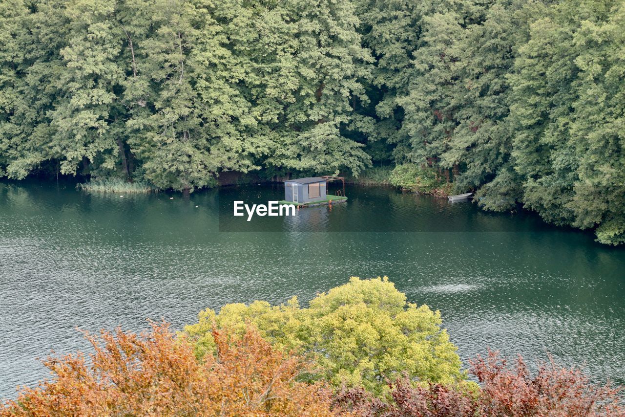 Scenic view of lake in forest