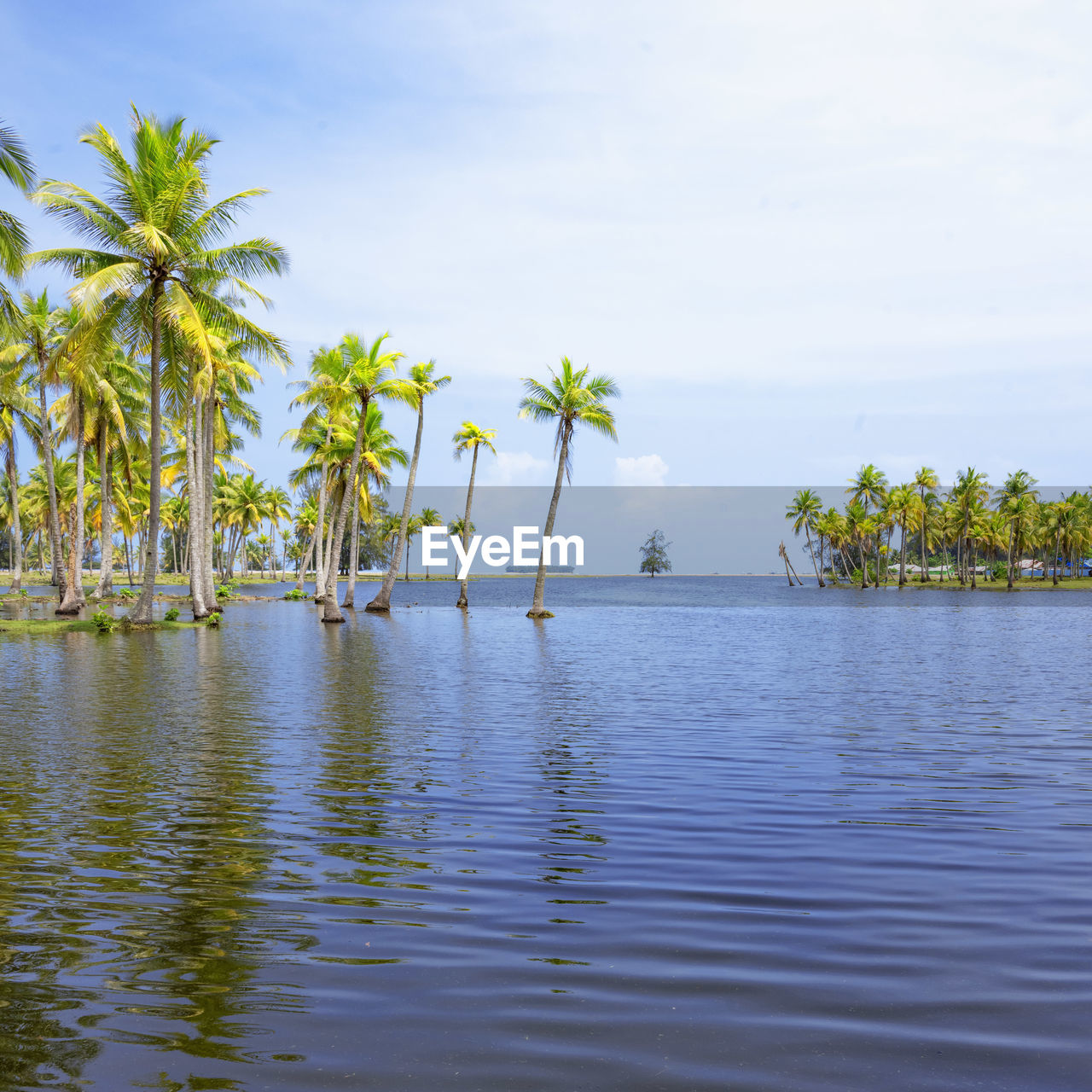 Scenic view of tropical island with coconut palm trees in a beautiful day