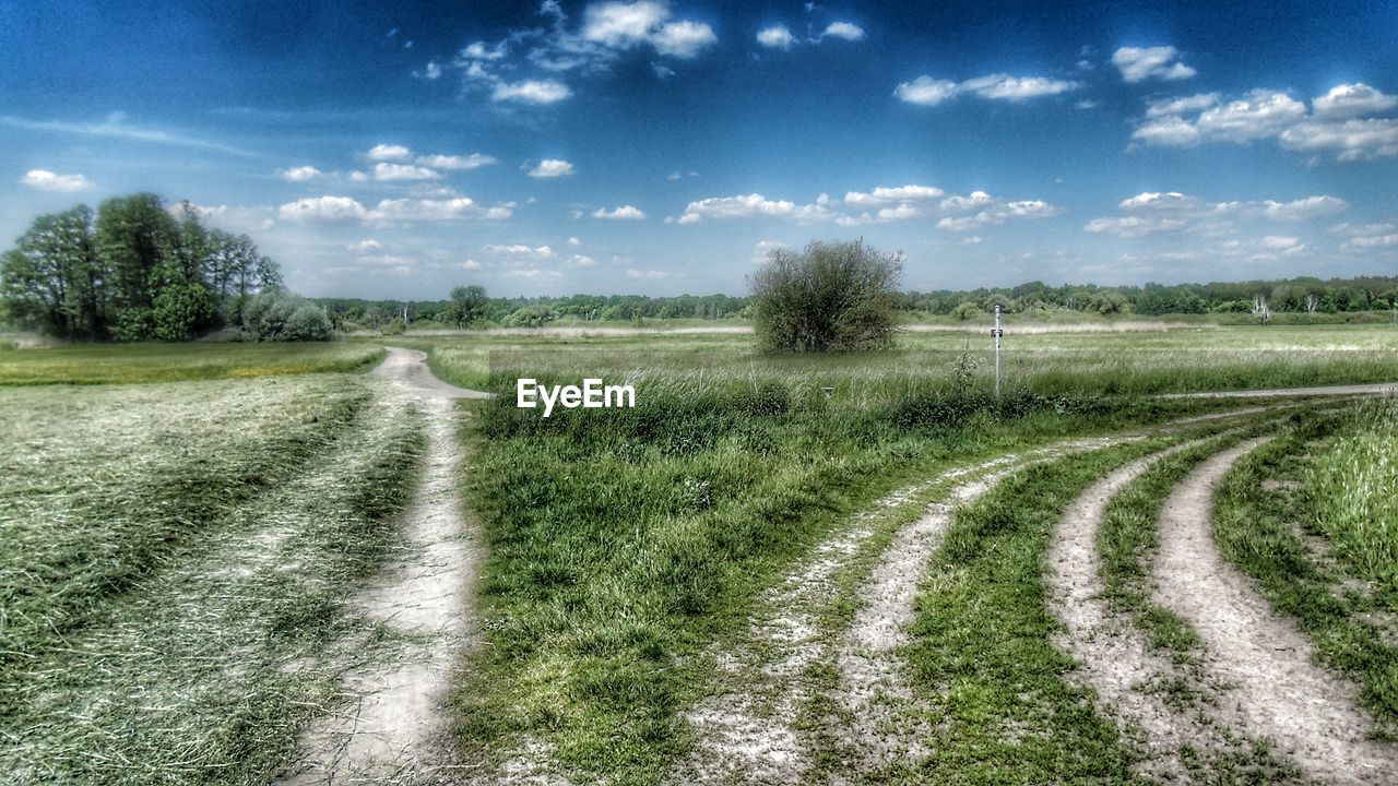 TIRE TRACKS ON AGRICULTURAL FIELD