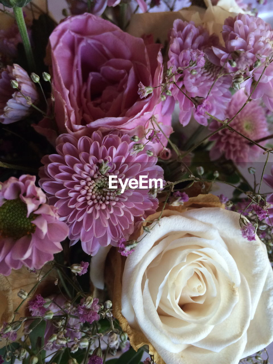 CLOSE-UP OF PINK FLOWERS ON BOUQUET