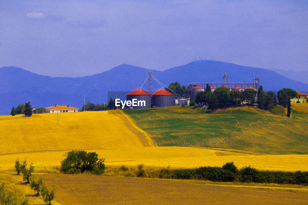 SCENIC VIEW OF AGRICULTURAL FIELD AGAINST CLEAR SKY