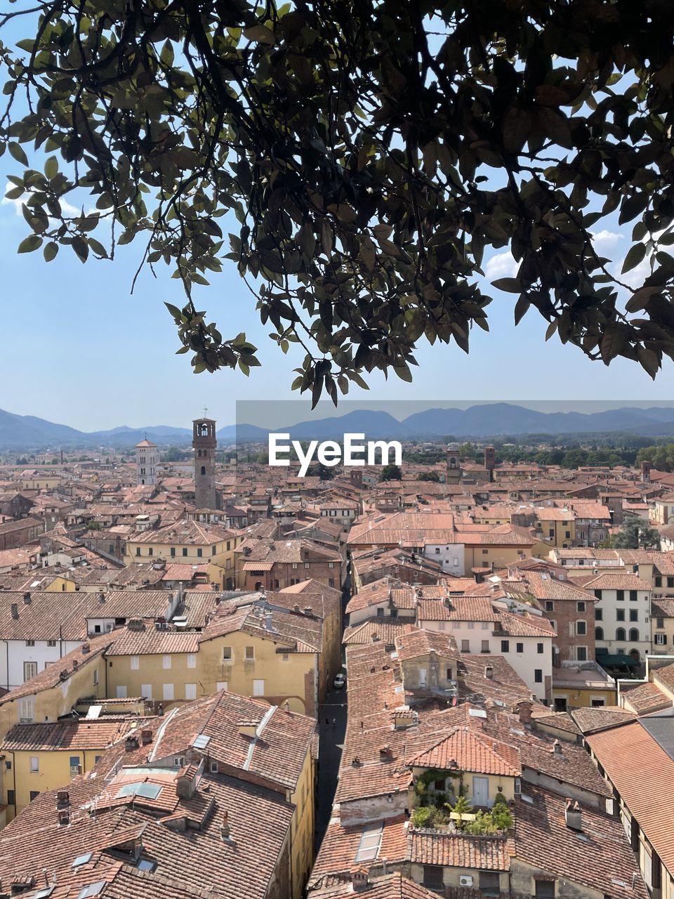 The wonderful view from the tower of lucca