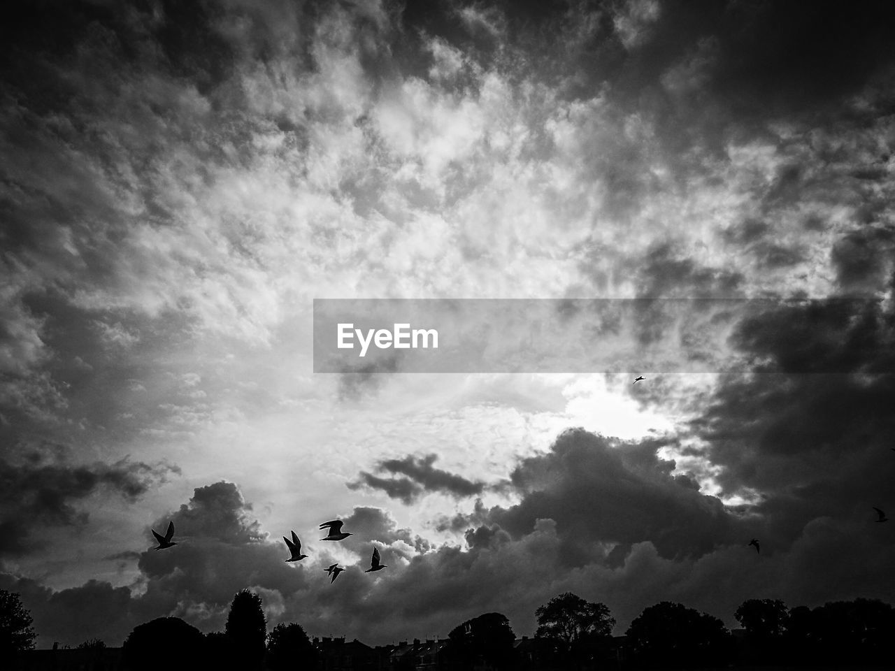 LOW ANGLE VIEW OF CLOUDS IN SKY