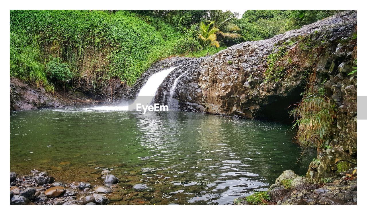 VIEW OF WATERFALL IN FOREST