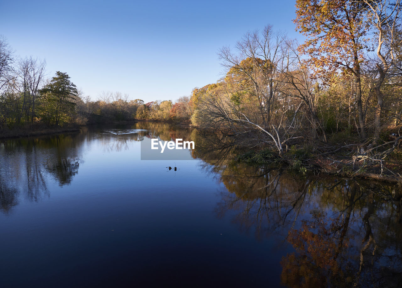 Reflection of trees in lake against clear sky