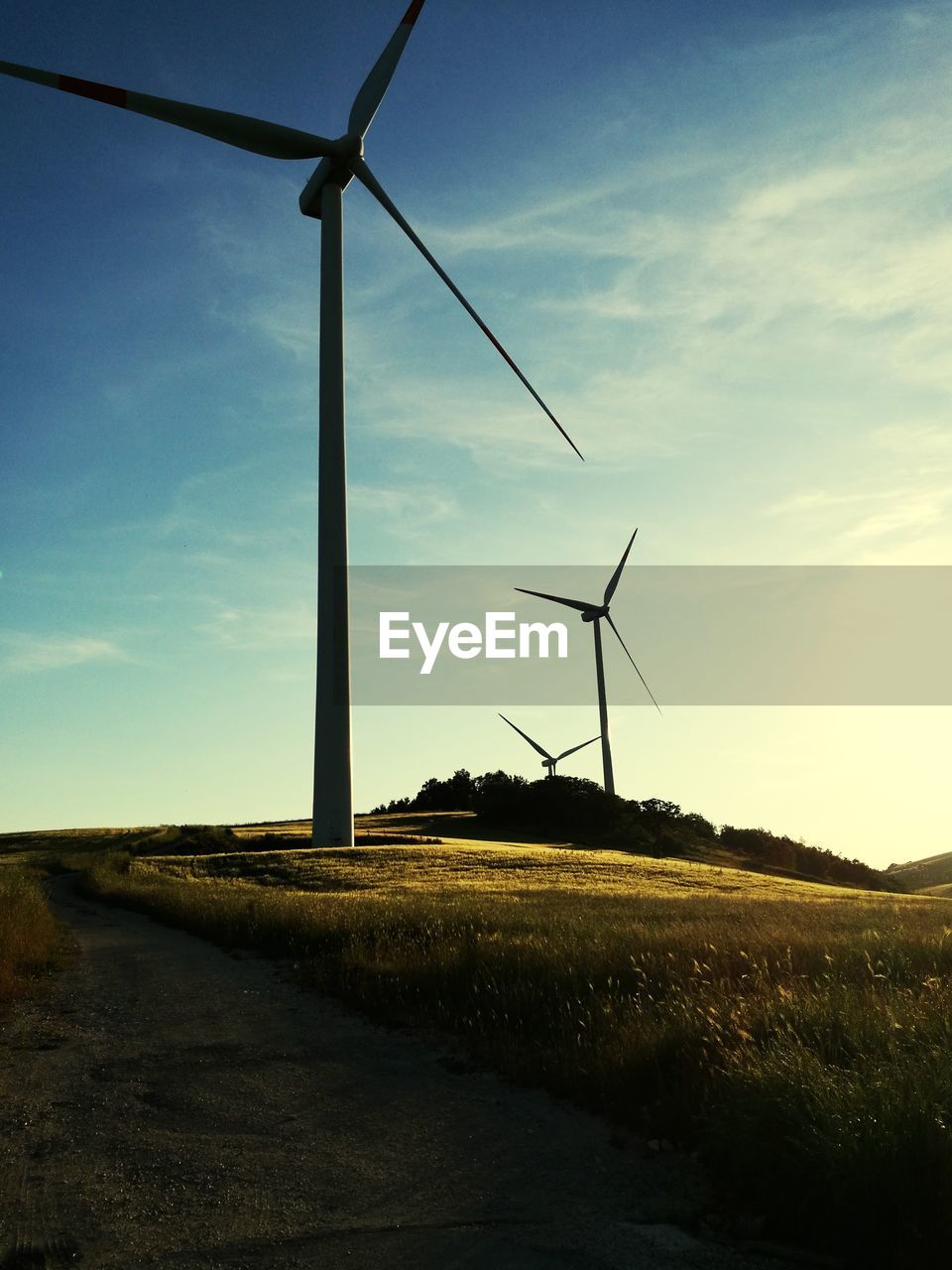 WIND TURBINES IN FIELD