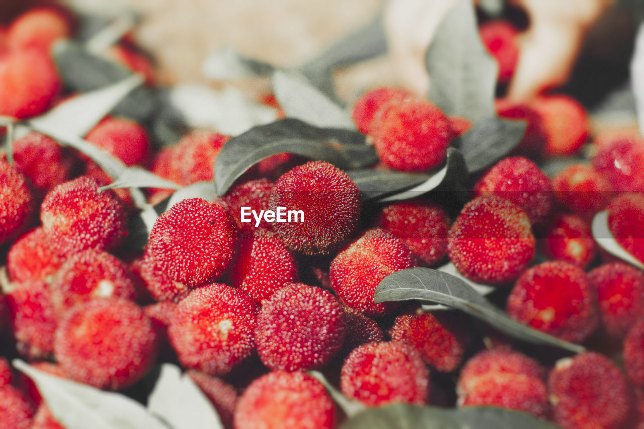 CLOSE-UP OF STRAWBERRIES AT MARKET