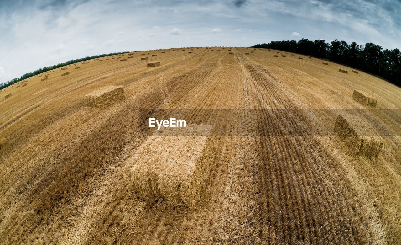 Fish-eye view of hay bales on field against sky