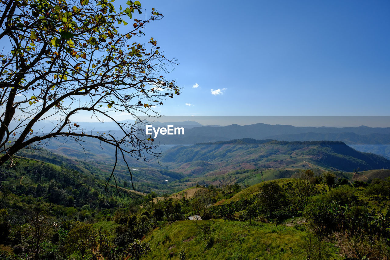 Scenic view of tree mountains against sky