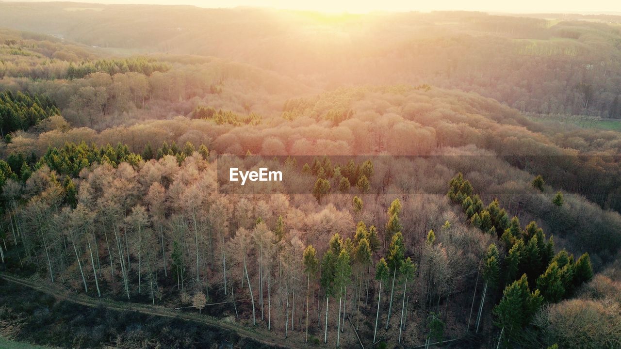Scenic view of field against sky at sunset