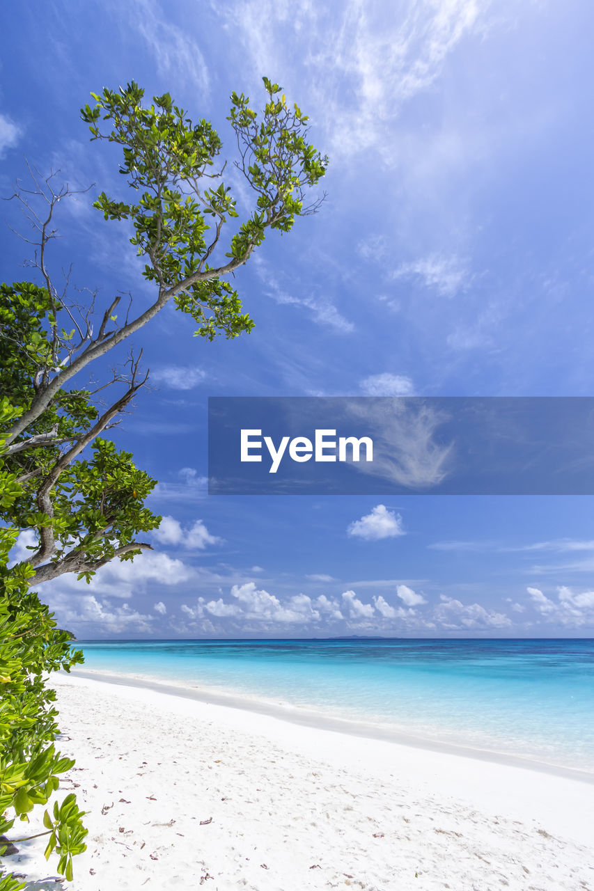 SCENIC VIEW OF BEACH AGAINST BLUE SKY