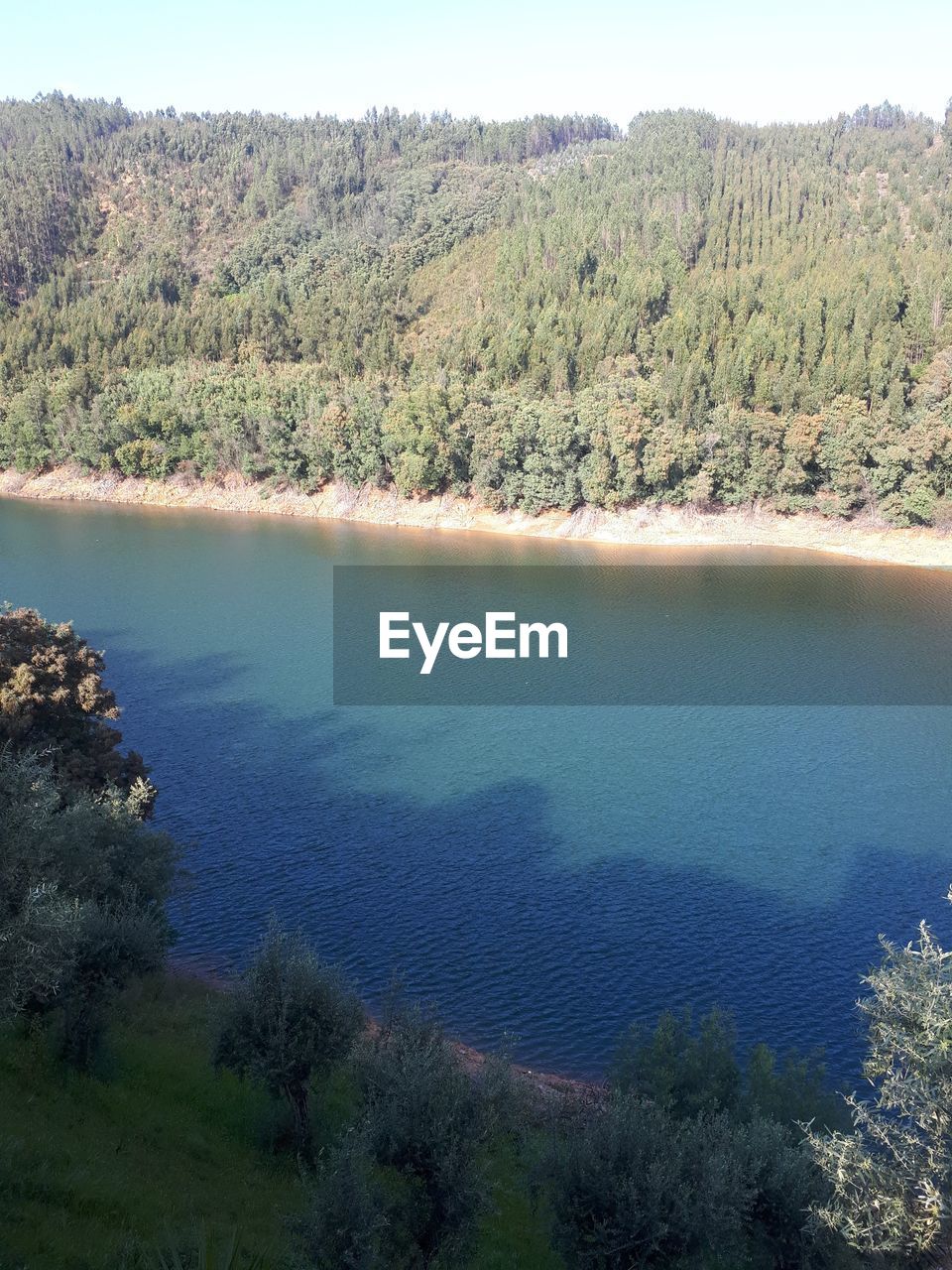 HIGH ANGLE VIEW OF LAKE IN FOREST