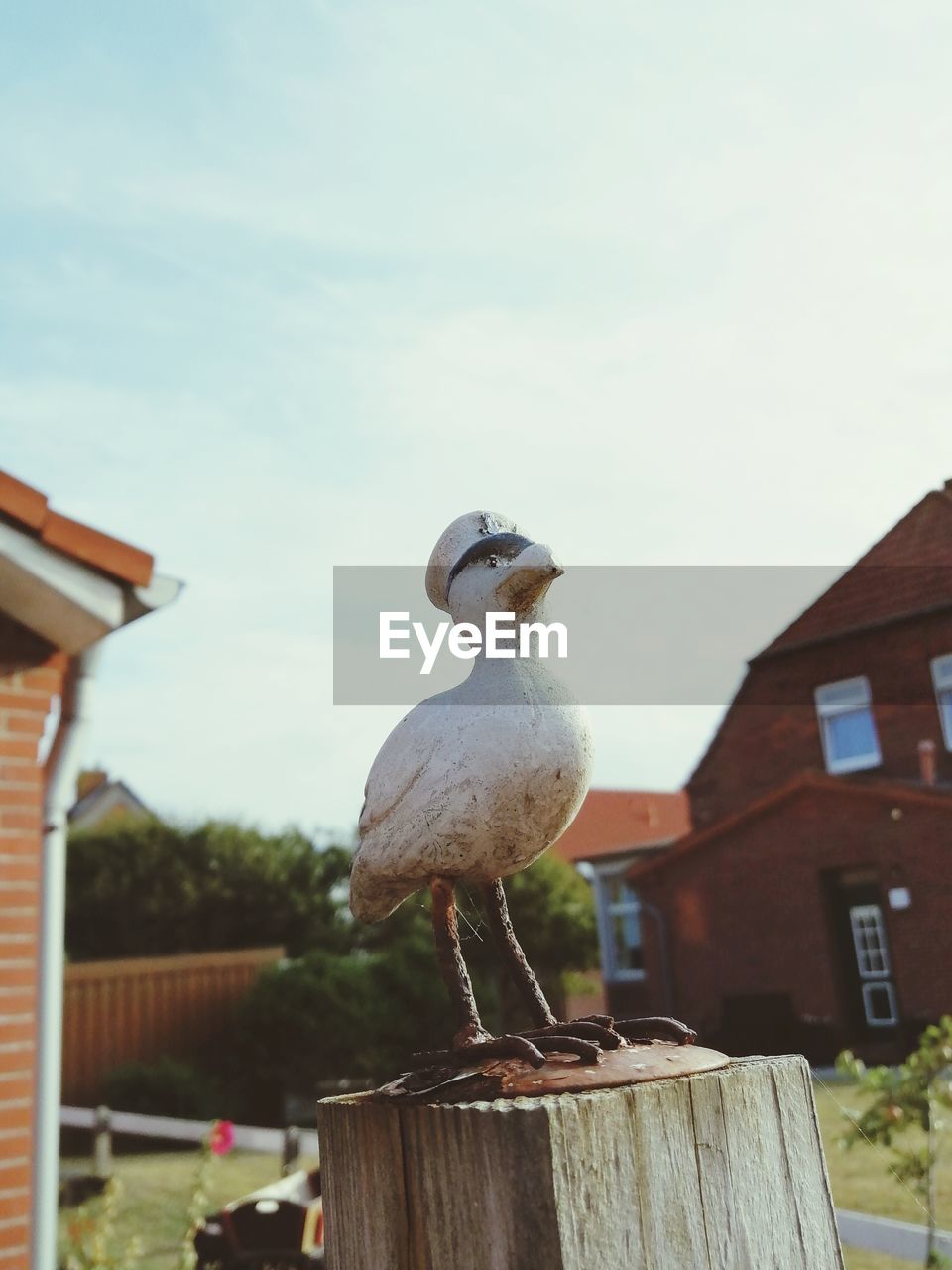 SEAGULL PERCHING ON WOODEN POST IN FRONT OF BUILDING