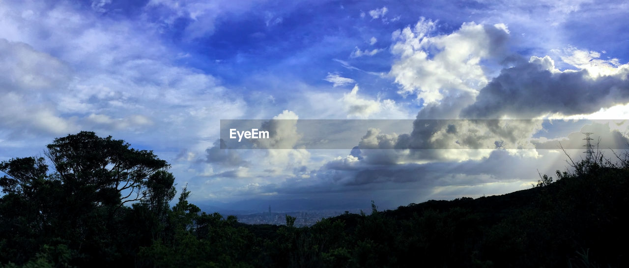 Low angle view of trees against sky