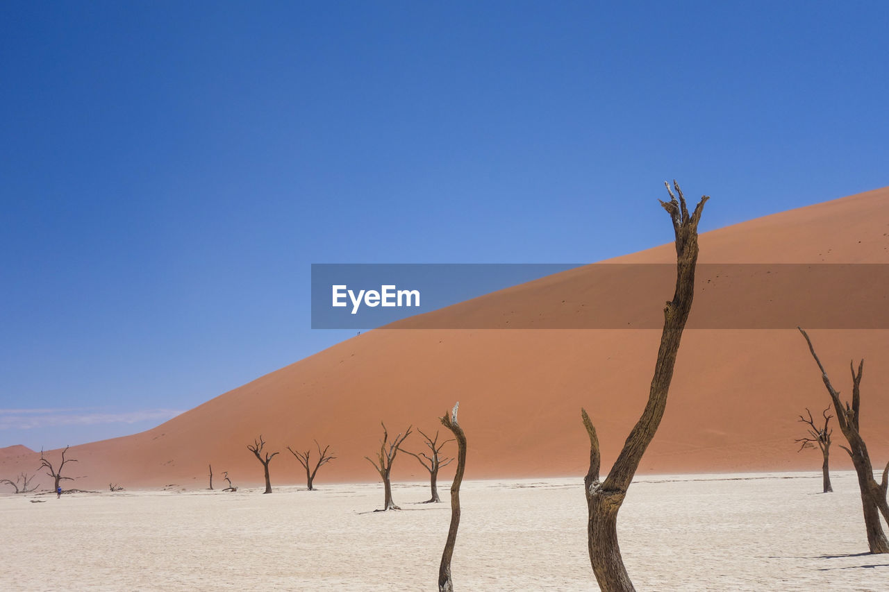 VIEW OF DESERT AGAINST CLEAR SKY