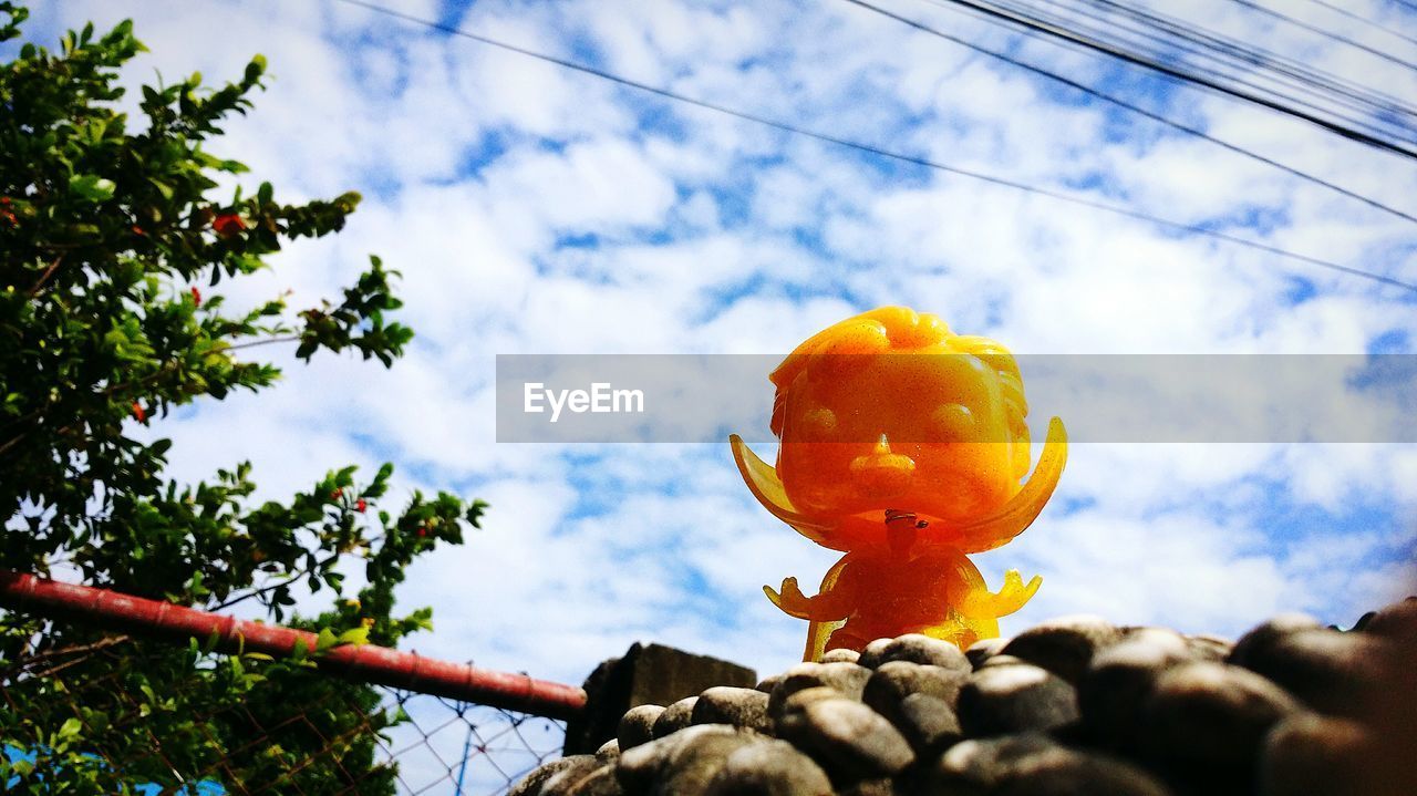 LOW ANGLE VIEW OF FRUIT AGAINST SKY