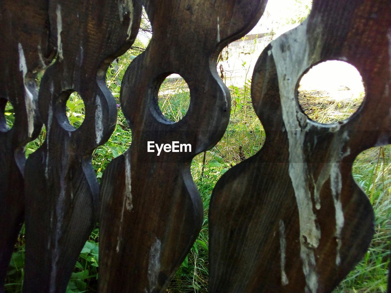 FULL FRAME SHOT OF TREE TRUNK