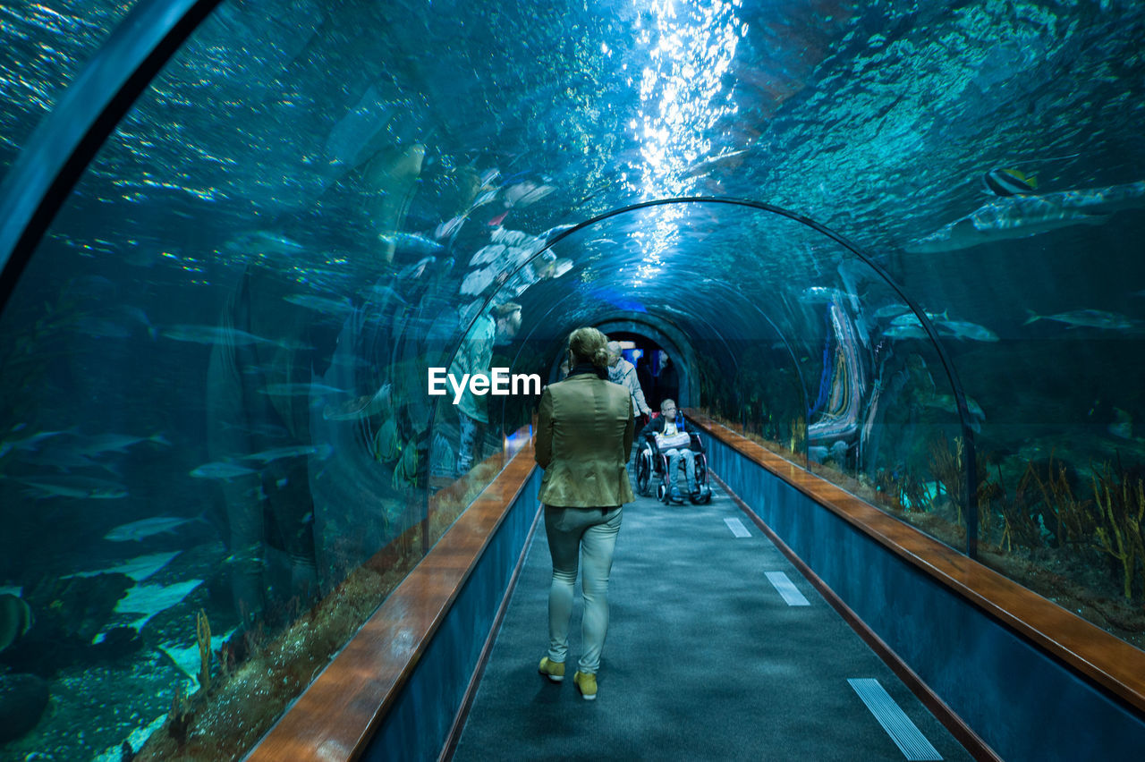 Rear view full length of woman walking in tunnel aquarium