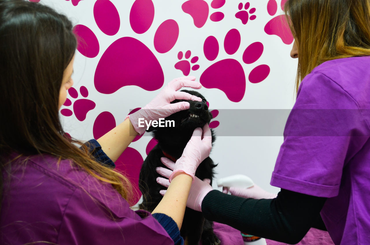 Rear view of veterinarian examining dog in clinic