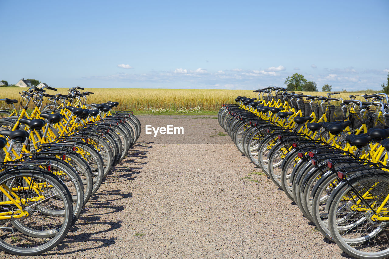 Bikes at bike hire station