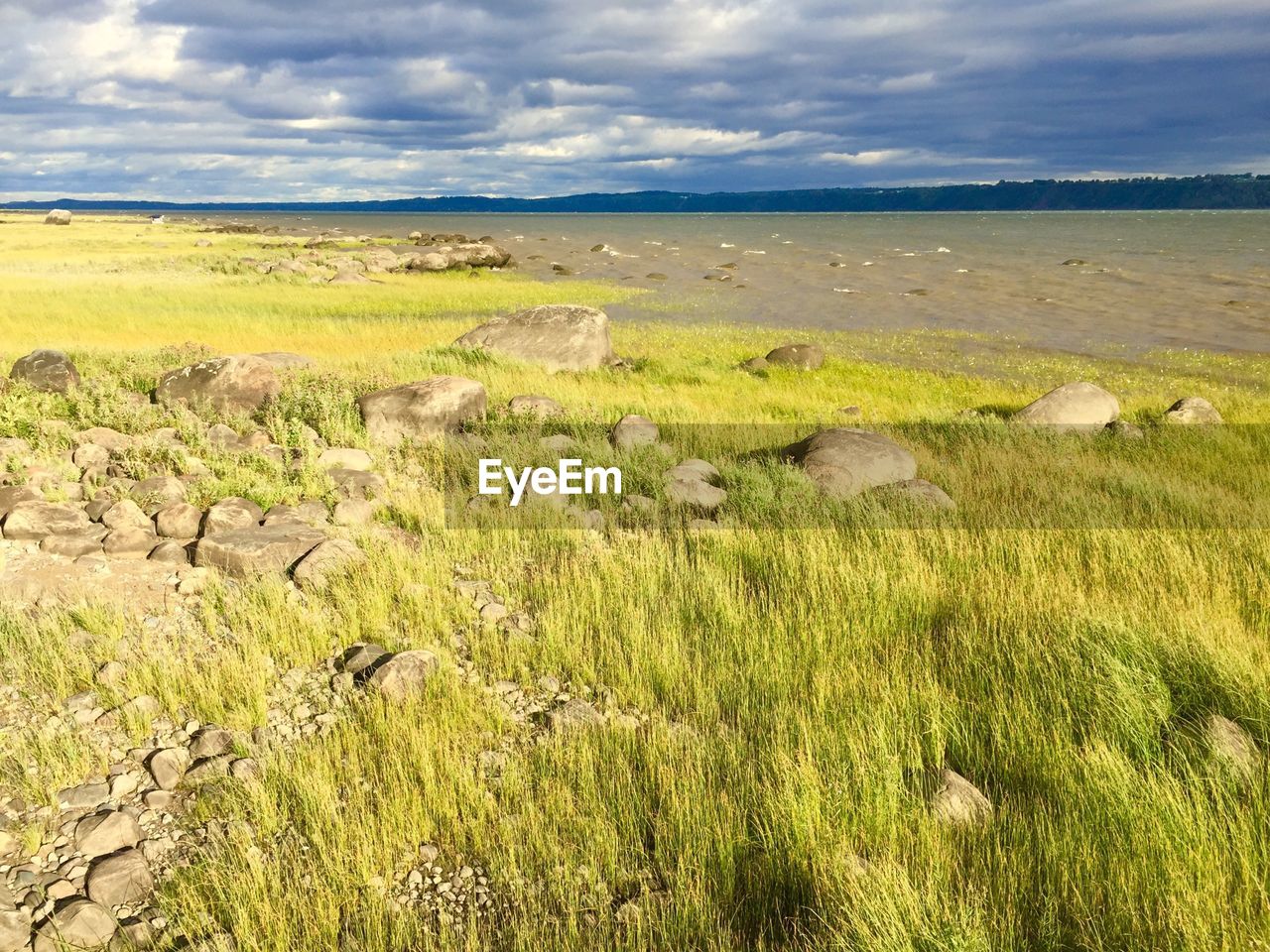 Scenic view of field against cloudy sky