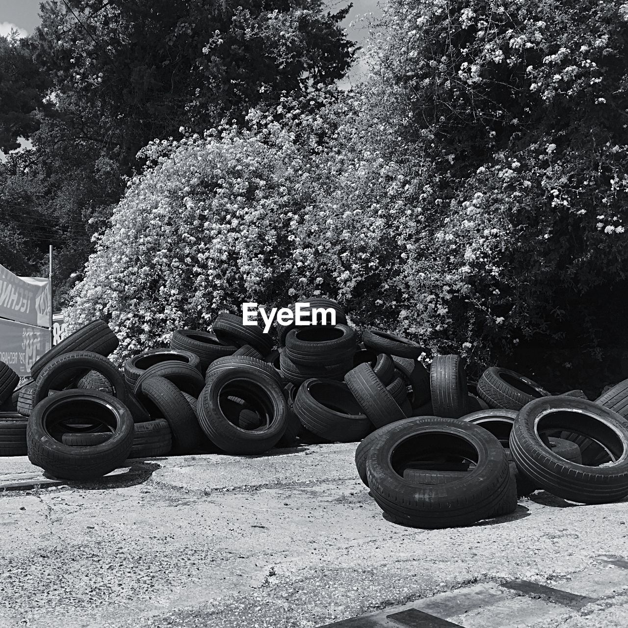 Tires heap against flower plants