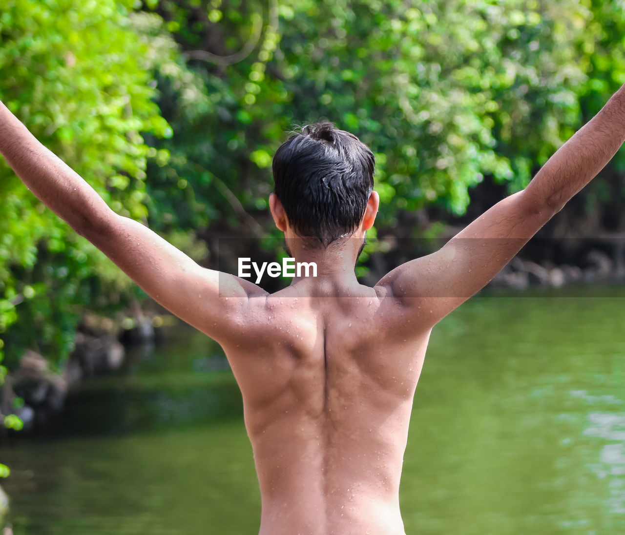 Rear view of shirtless man in forest