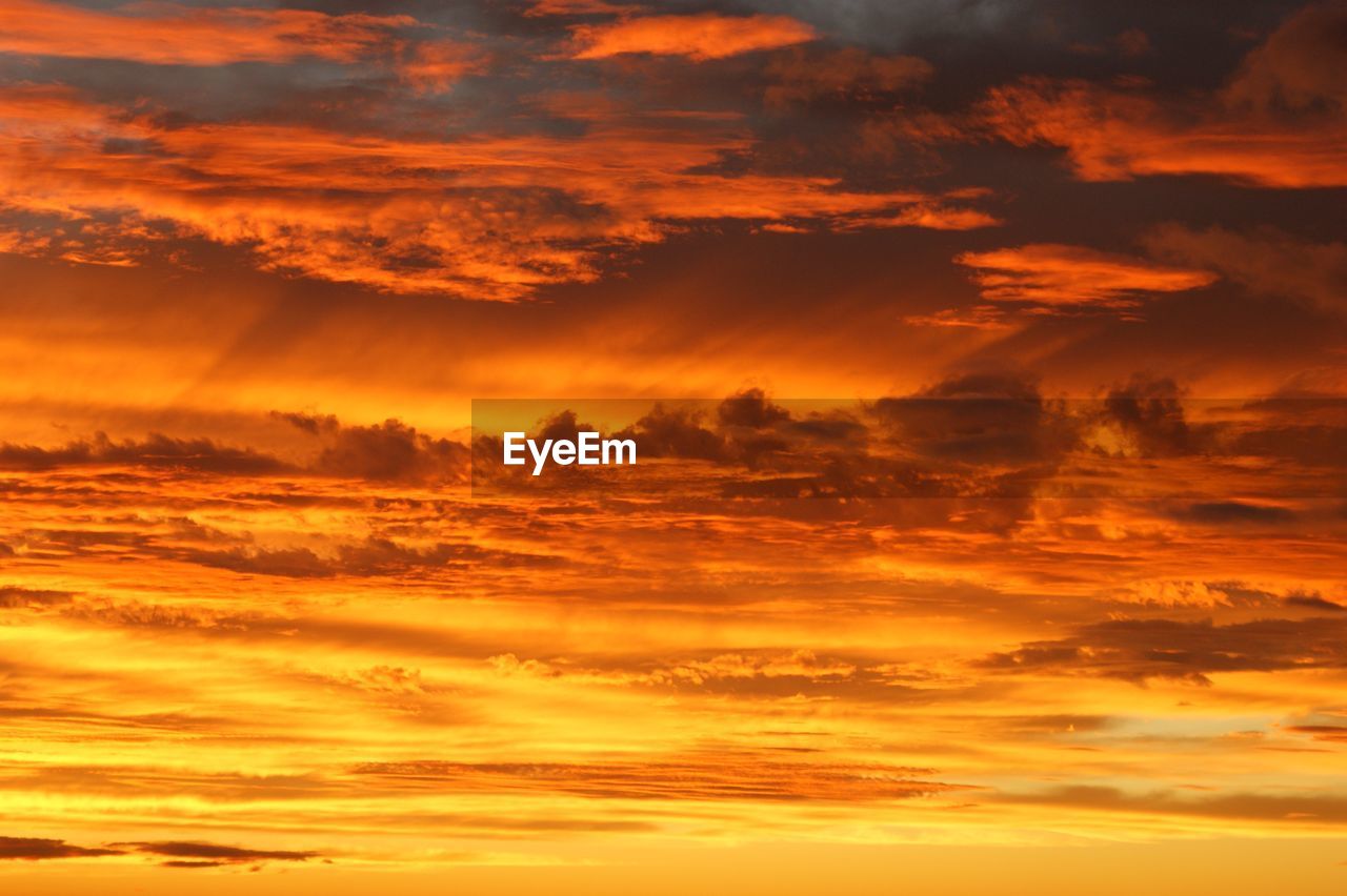 LOW ANGLE VIEW OF DRAMATIC SKY