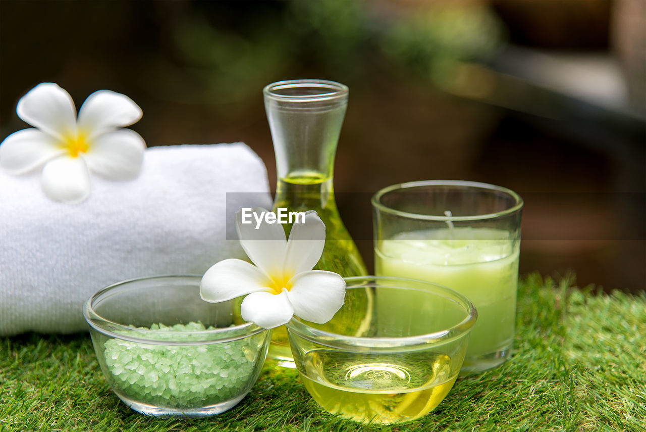 CLOSE-UP OF WHITE AND POTTED PLANT WITH GREEN TEA