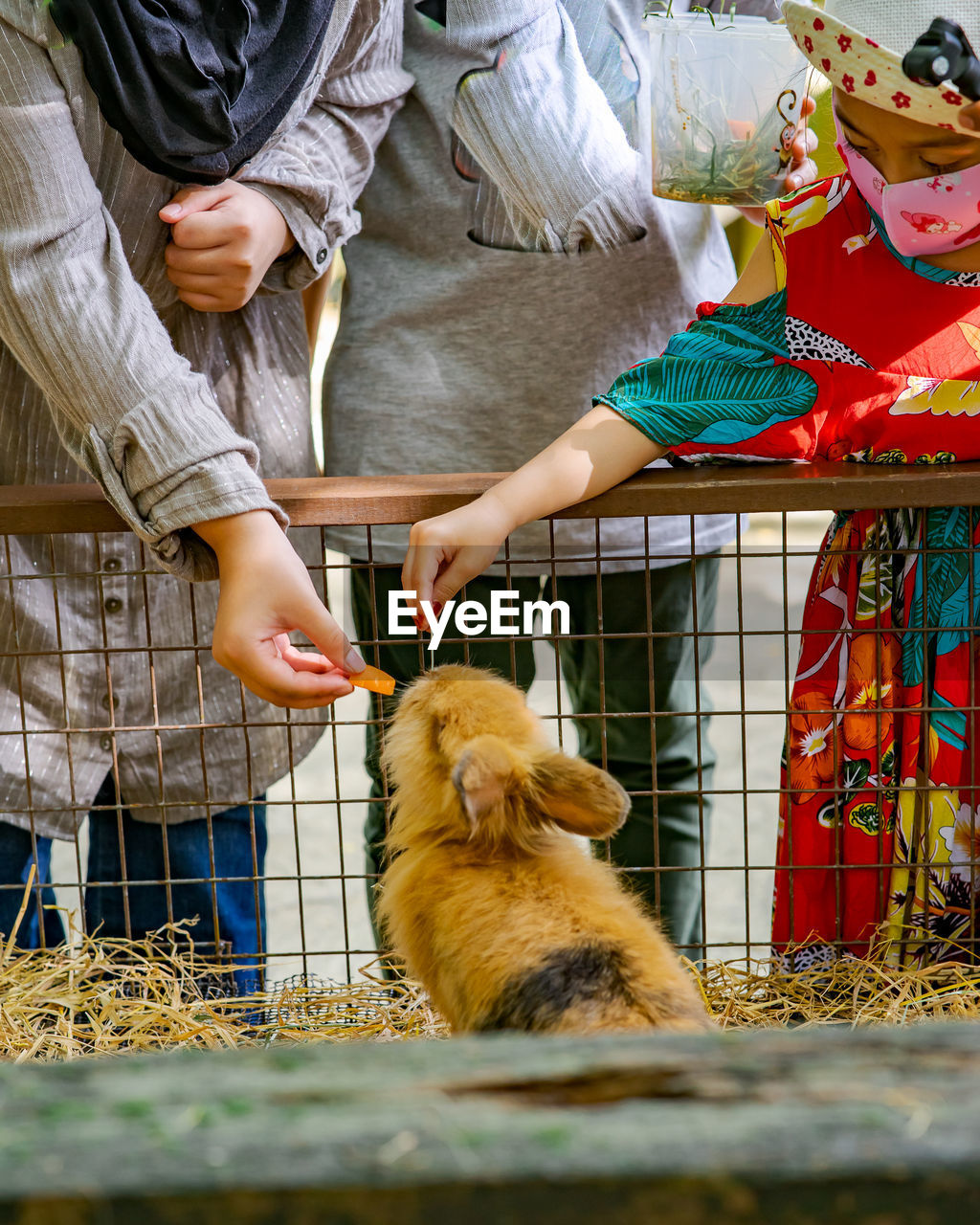 Midsection of woman with dog