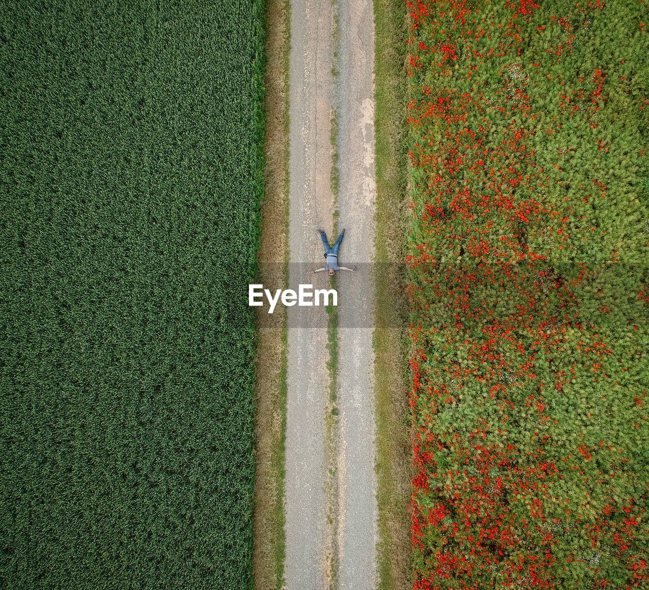 Drone view of man lying on footpath amidst field