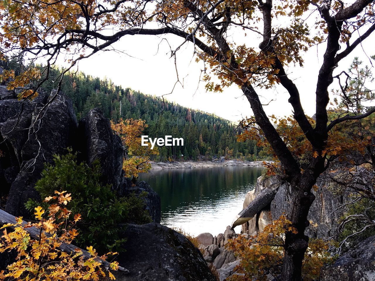 Scenic view of calm lake surrounded by trees