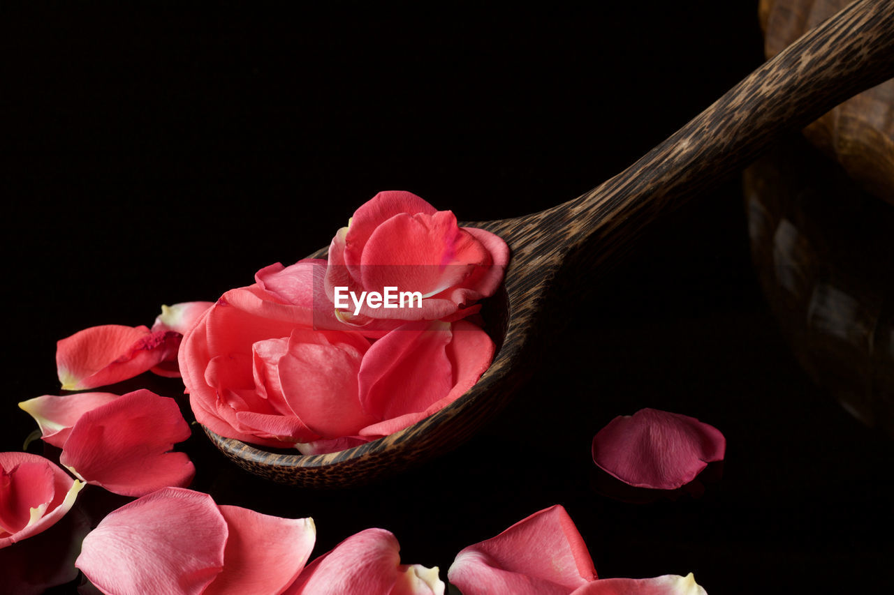 Close up of wooden ladle full of soft rose petals on black reflected surface