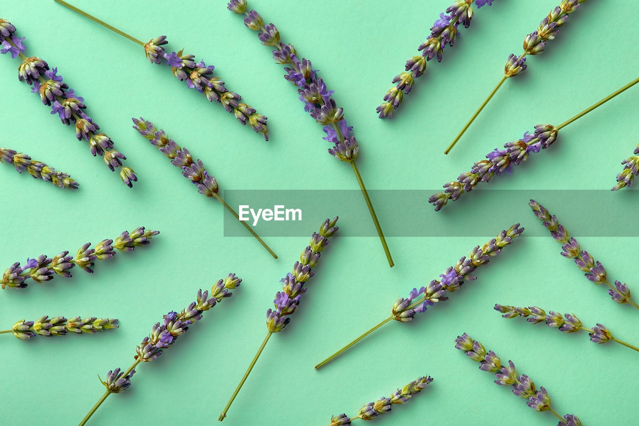 high angle view of thumbtacks over white background
