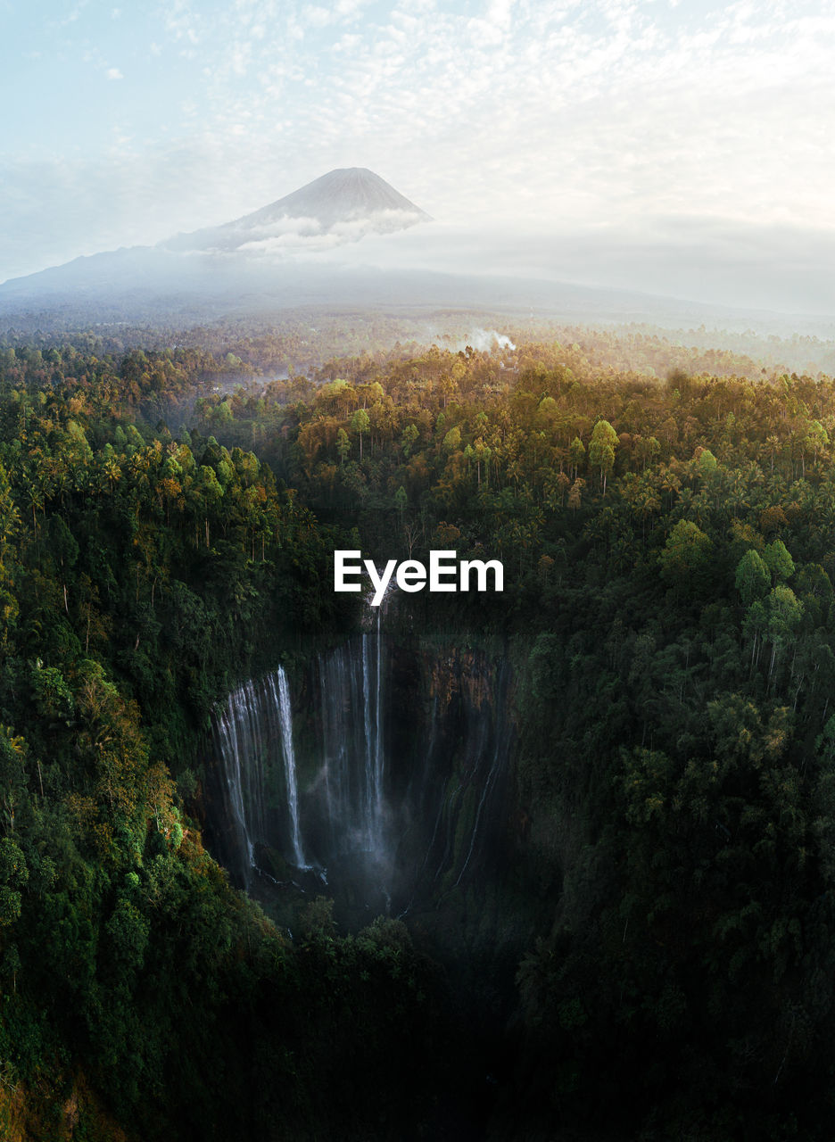 SCENIC VIEW OF WATERFALL BY TREES AGAINST SKY