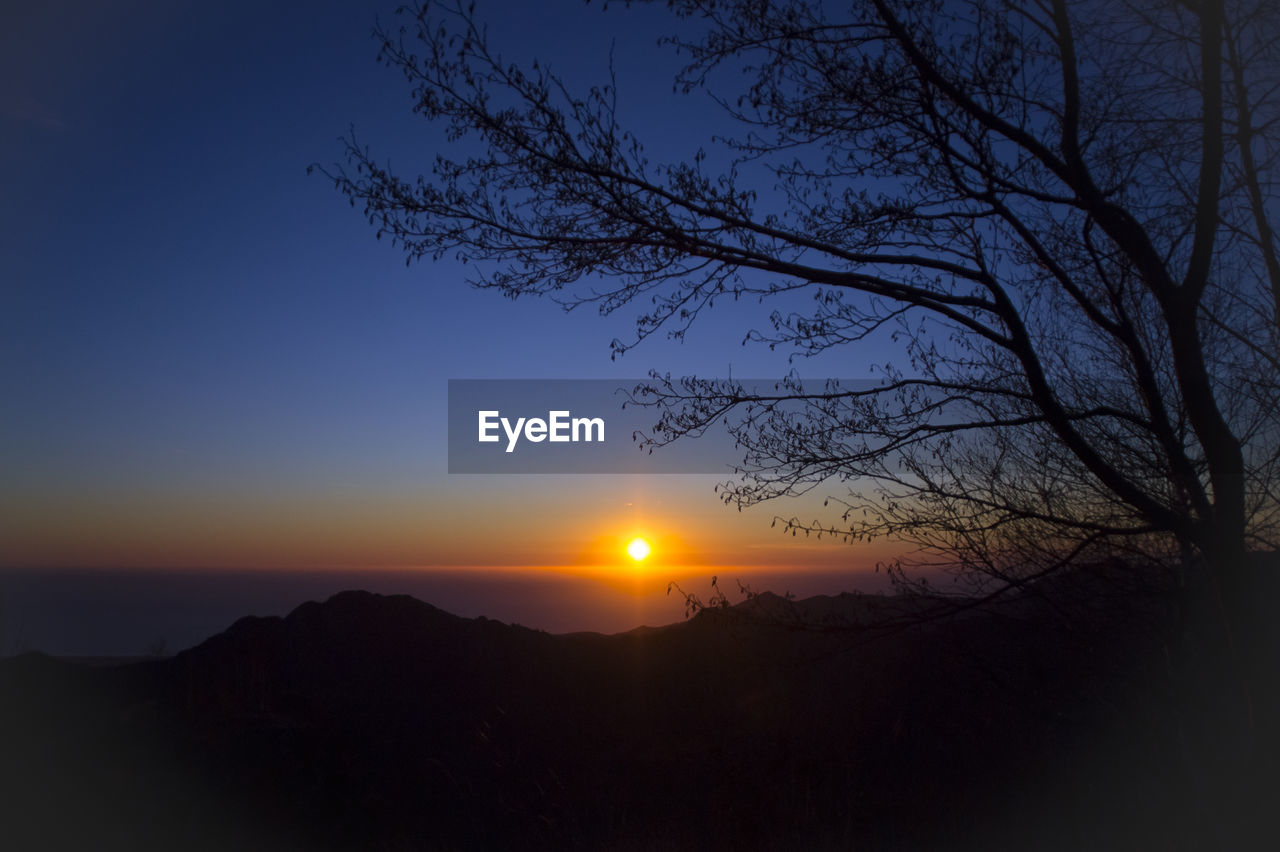 Silhouette of trees against sky during sunset