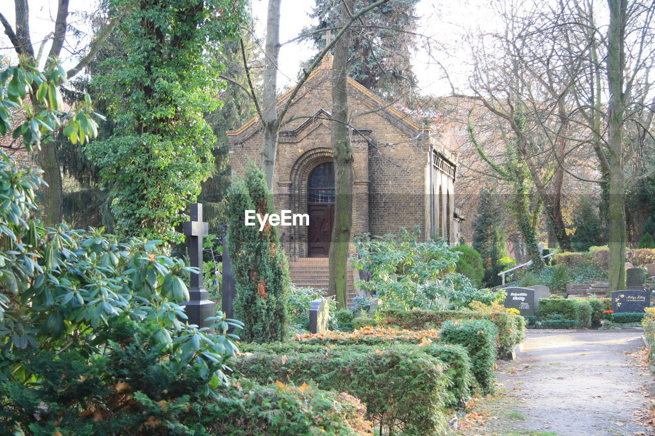 VIEW OF TREES AND PLANTS