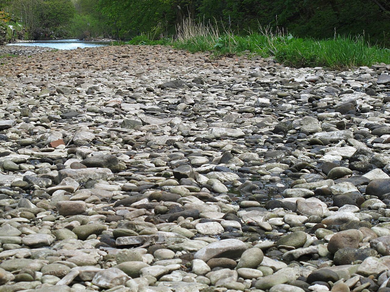 VIEW OF PEBBLES