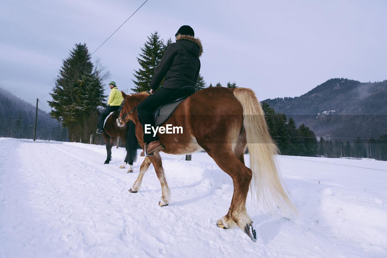 People riding horses on snow covered field against sky