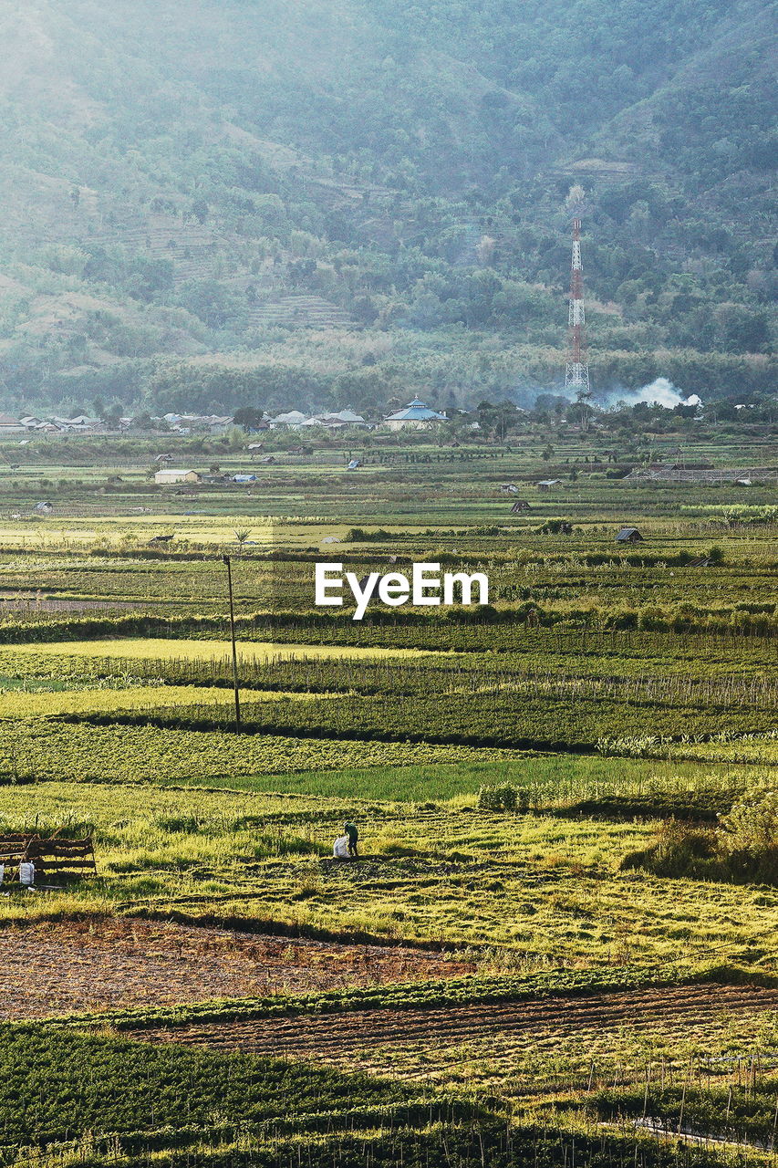 SCENIC VIEW OF FARM