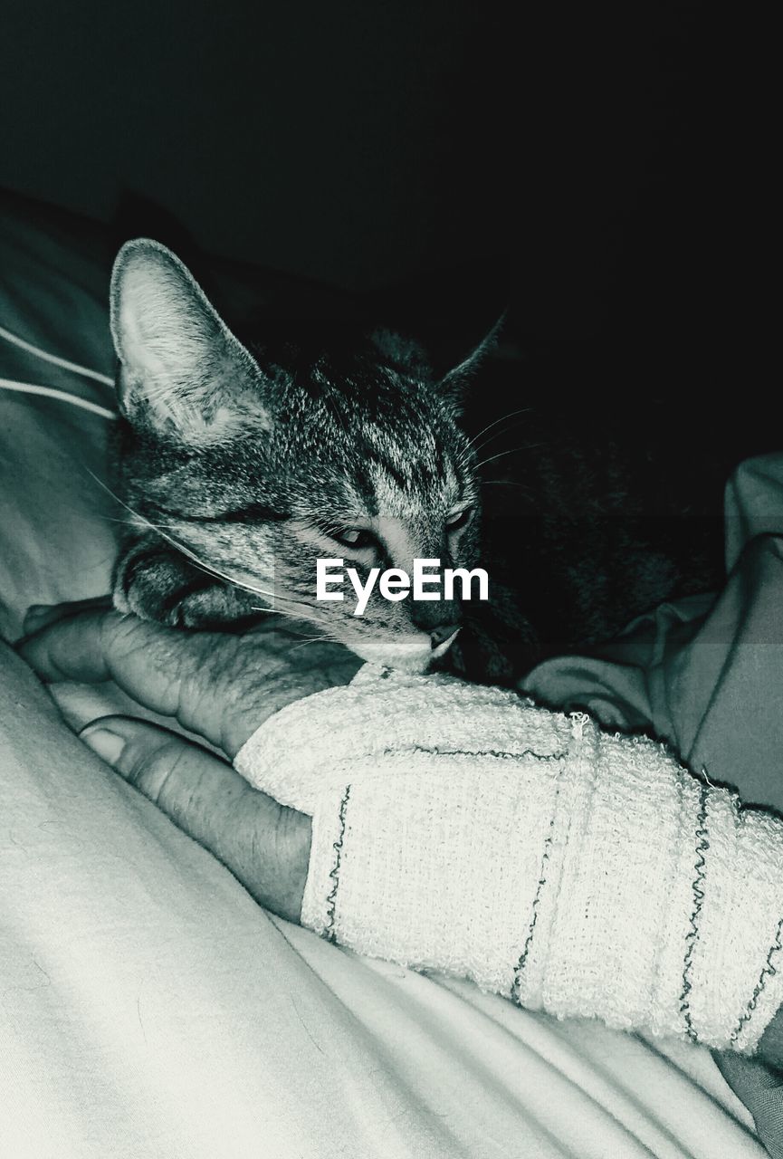 LOW SECTION OF PERSON RELAXING WITH CAT