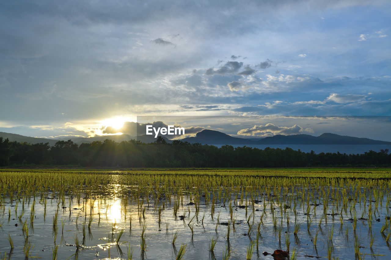 Scenic view of lake against sky during sunset