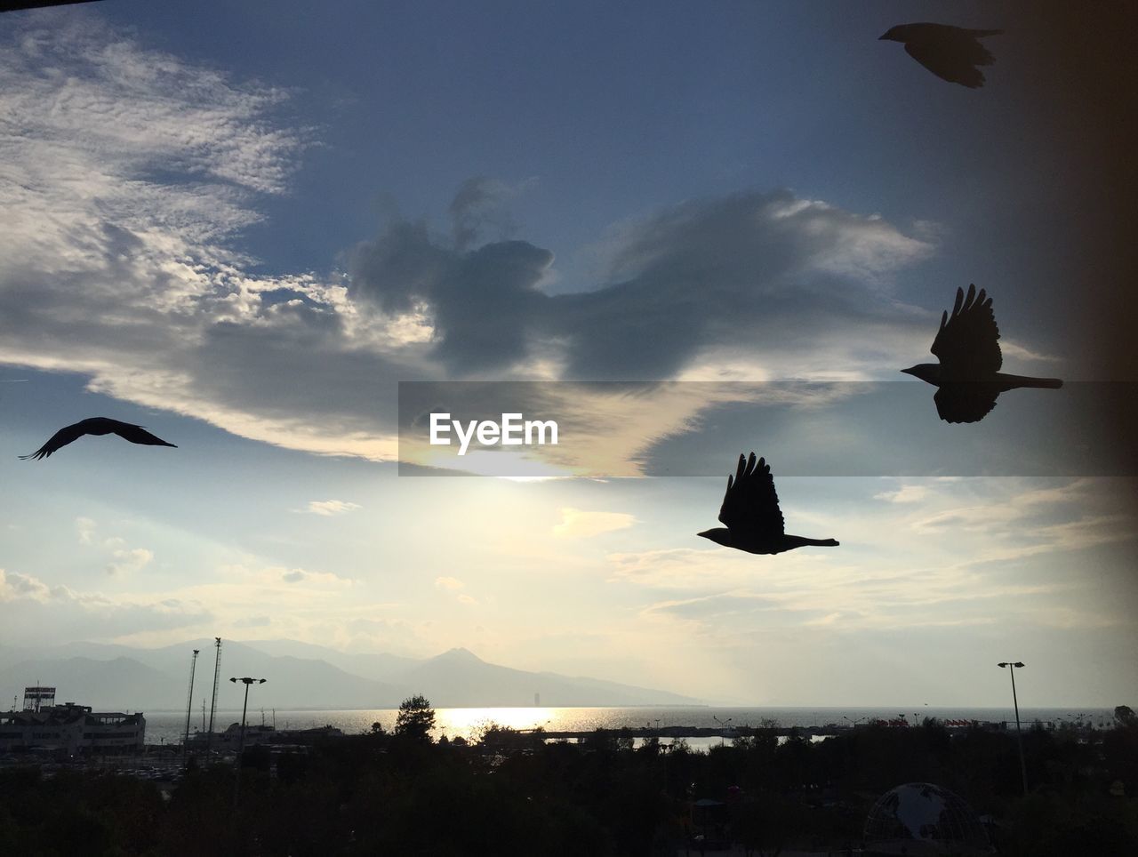 SILHOUETTE BIRDS FLYING AGAINST SKY AT SUNSET