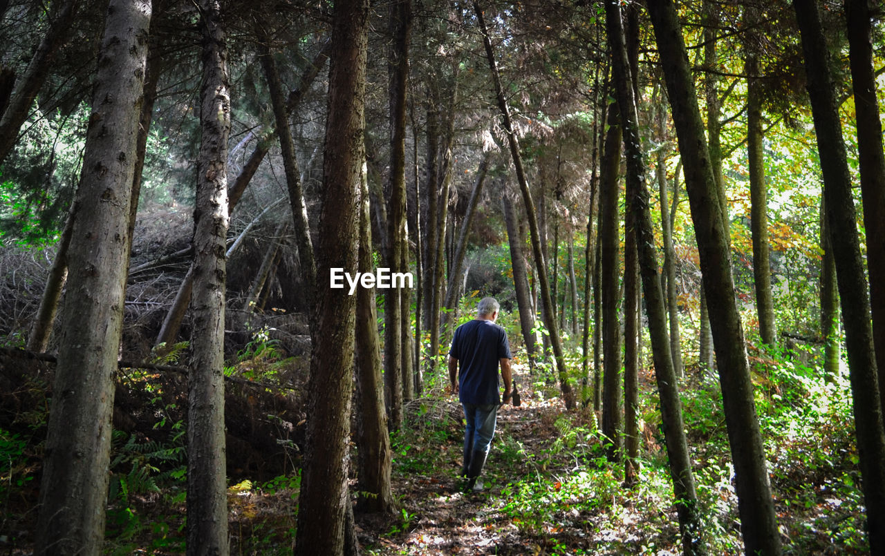 Rear view of man walking in forest