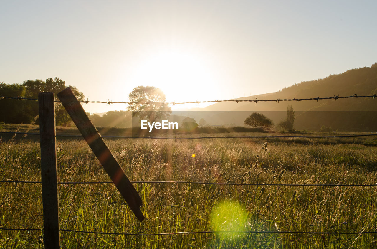 WOODEN FENCE ON FIELD AGAINST BRIGHT SUN